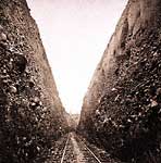 img_hart-12-bloomer-cut-2_thm