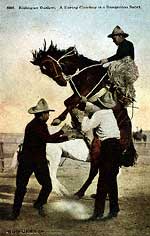 img_postcard-cowboy7_thm