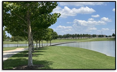 Image generation of pond pt.2