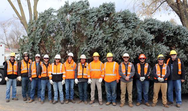 Union Pacific Engineering employees stand in front of the 40-foot-tall blue spruce