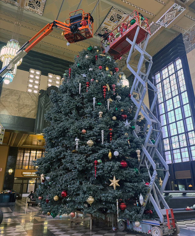 The tree is decorated using 1,000 feet of lights and 250 ornaments.