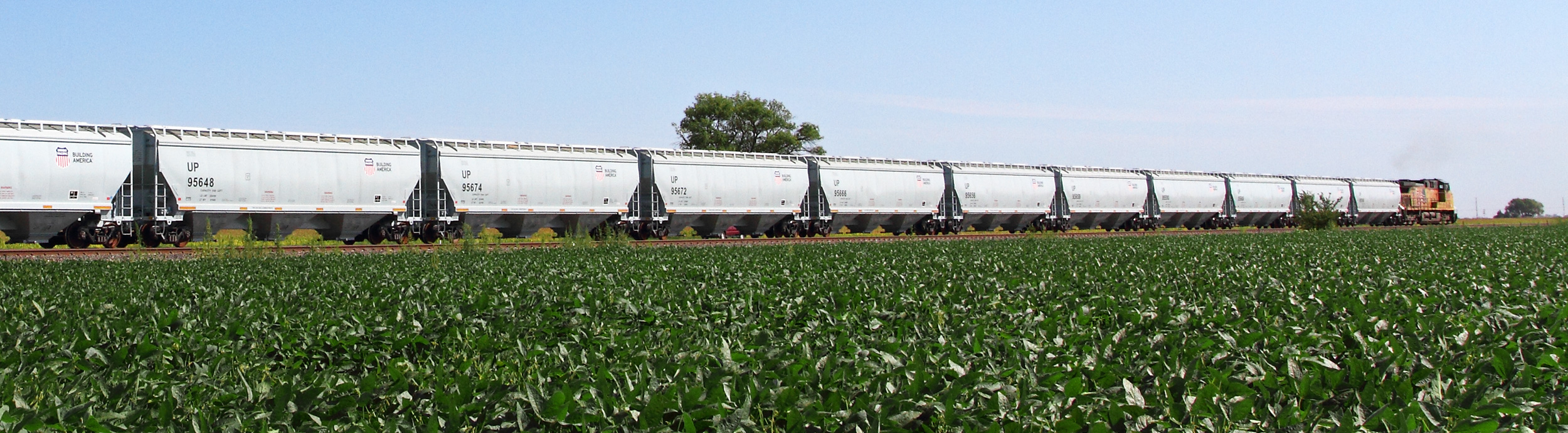 Agricultural Products