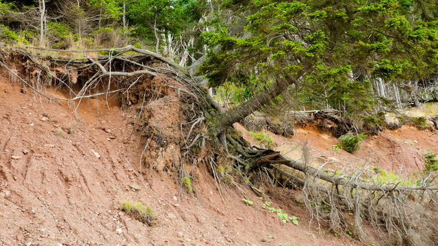 Broncos California Mudslide Main Image | MR