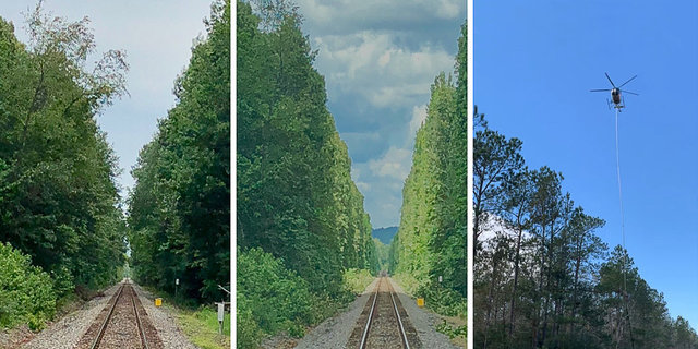 Bladed saw suspended below helicopter trims trackside brush. | L