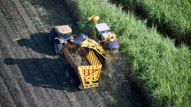 Large Retina | Inside Track: Sugar Cane Harvest Safety