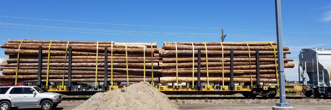 A rail car flled with timber from three national forests and two state land trusts is loaded and ready for departure.