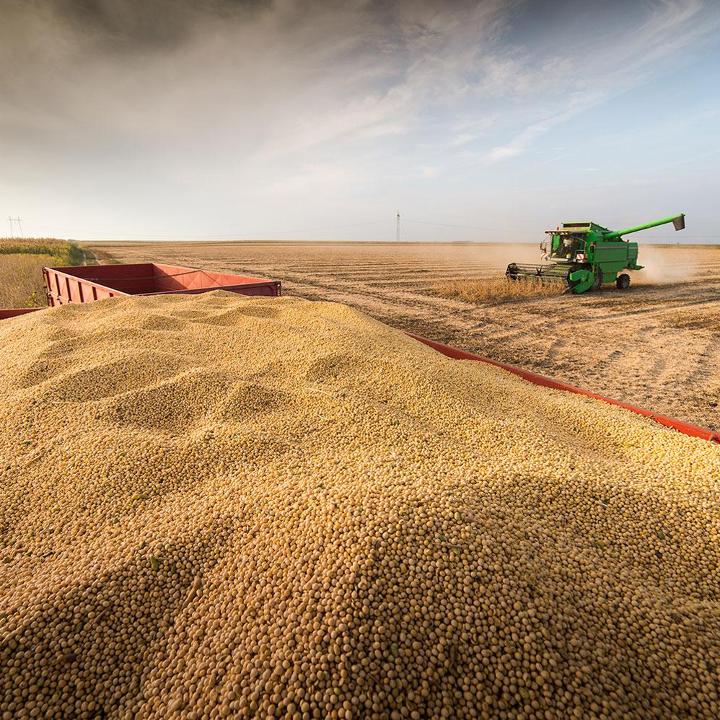 The Bulk team works to transition continuously consumed products, such as dried distiller grains, a feed ingredient produced in ethanol plants, from unit trains to manifest.