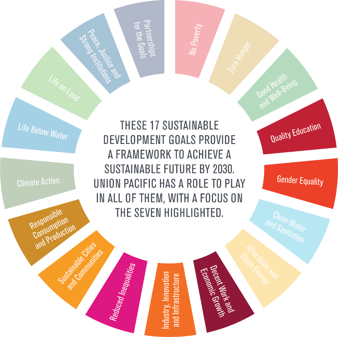 Sustainable Development Goals wheel