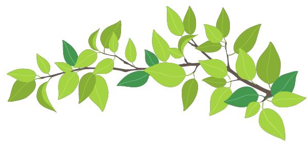 leaves