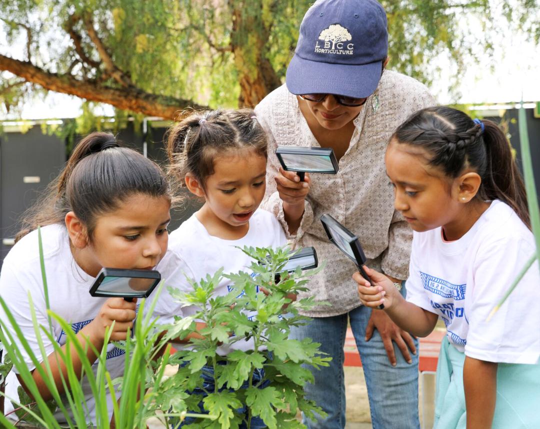 Medium Retina | Inside Track: 2nd im-LA Nonprofit Plants Healthy Seeds