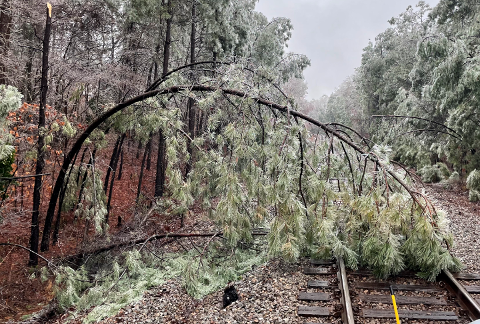 Ice Storm Impact on Southern Region | S