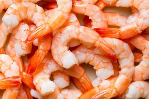 Small | Surprising Things - Shrimp