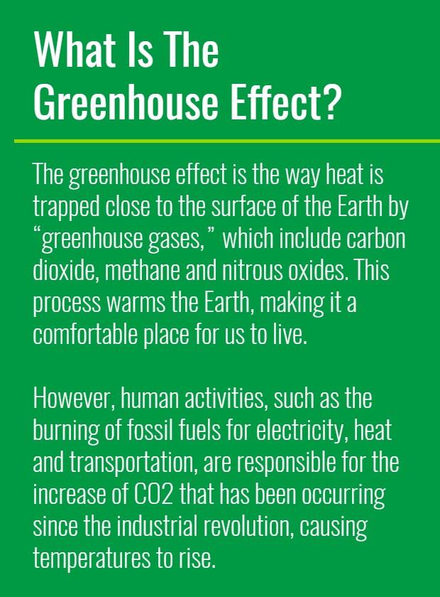 Original | TR Greenhouse Effect Sidebar