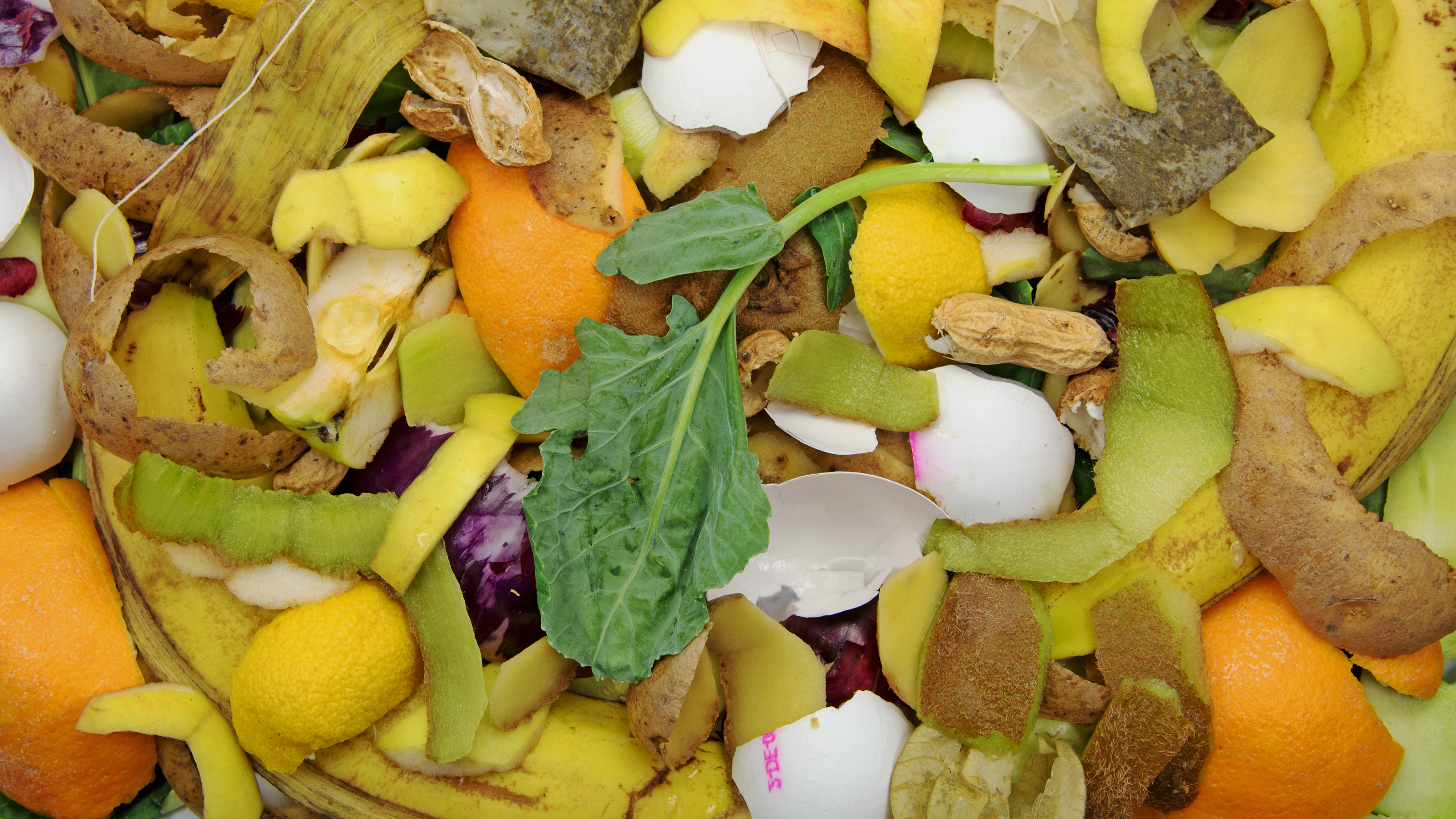 Biomass Food Waste