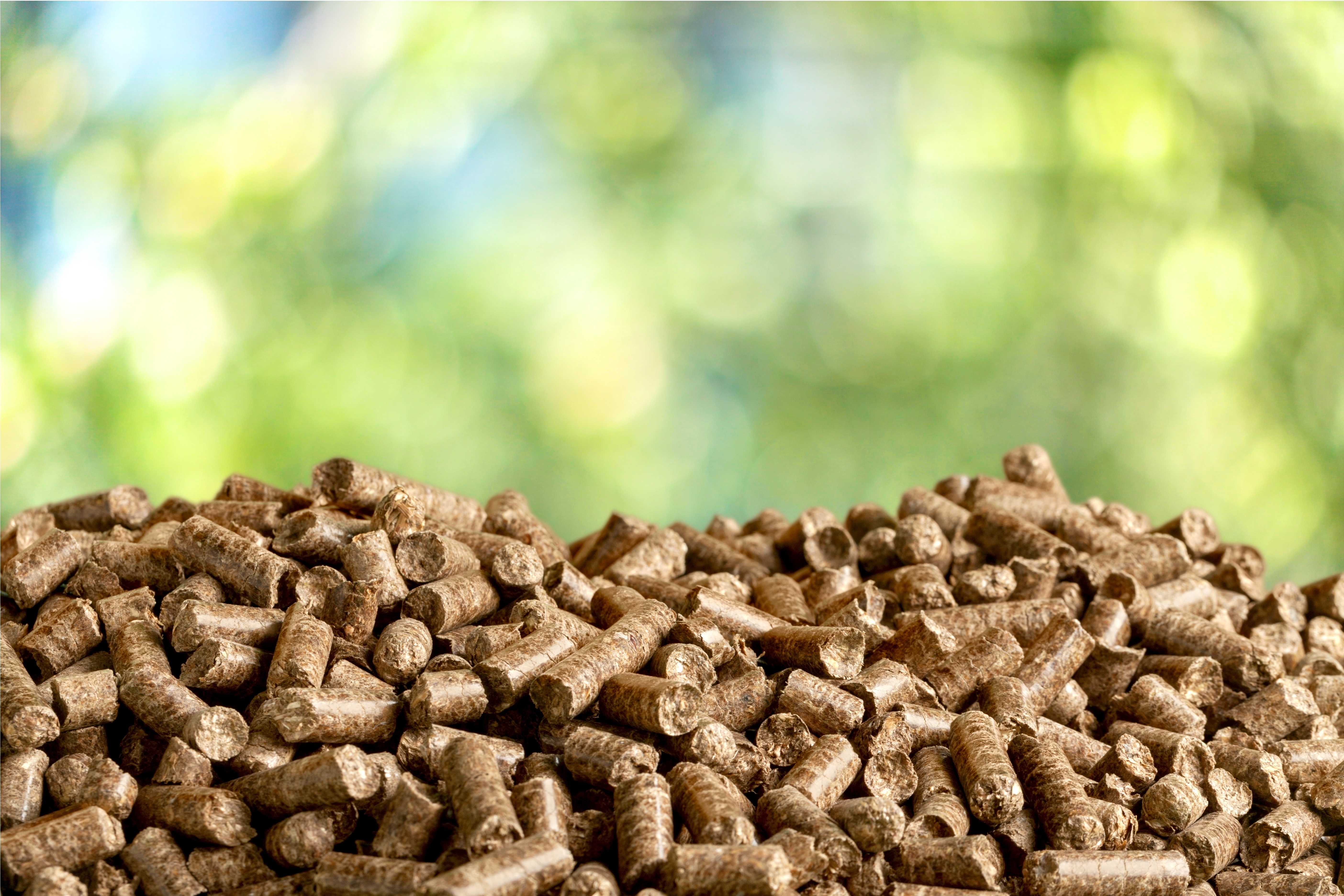 Biomass Woody Pellets