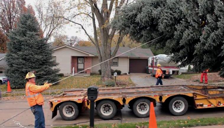 UP Employee Pulls Durham Tree Onto Truck