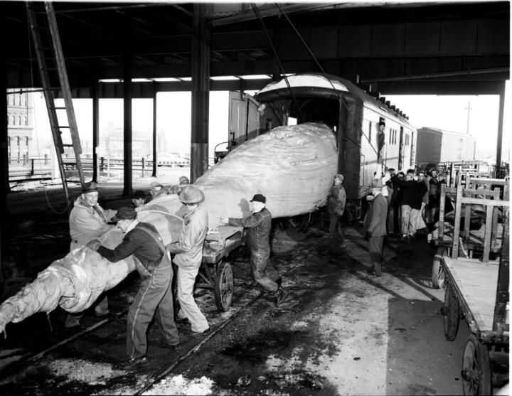 Union Station Tree - 1955