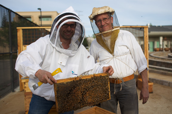 Community Ties: Community Garden