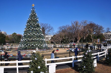 CT: Xmas Train