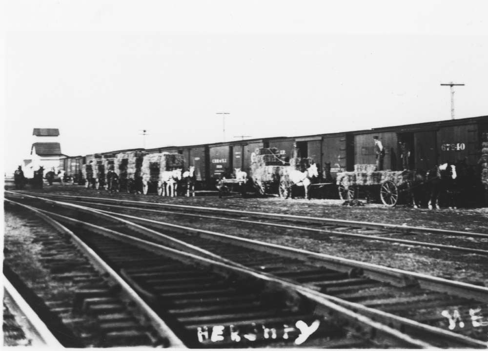 Men unloading from horse drawn wagons into boxcars in Hershey, Nebraska