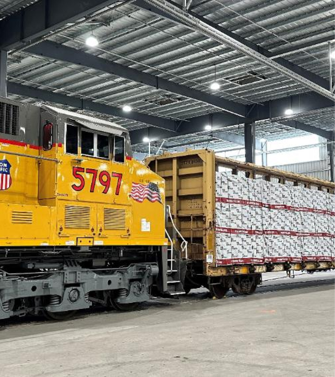 RoyOMartin Main Image | MR