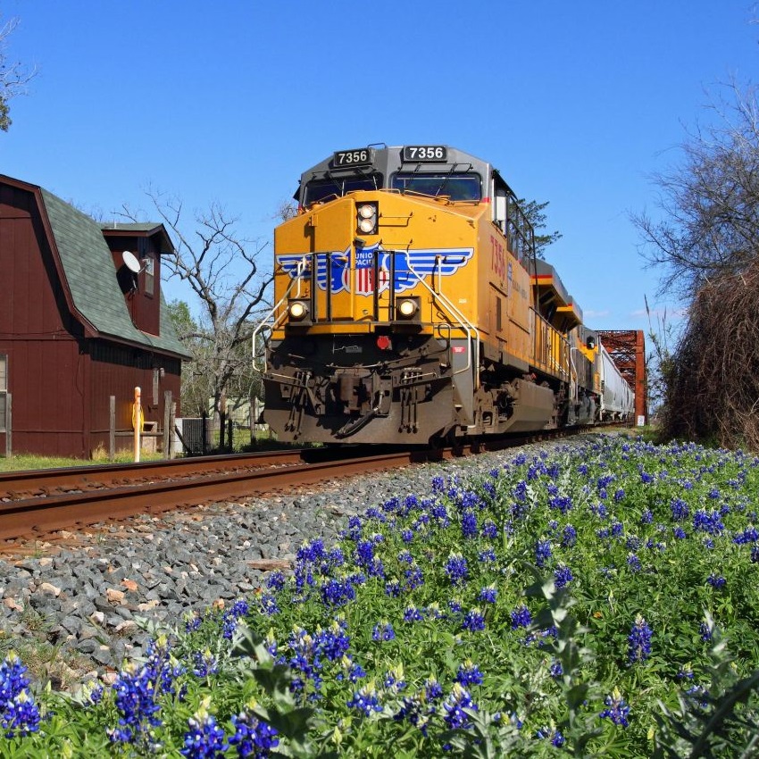 No. 7356 crosses a bridge near Columbus, Texas on the Sunset Route with Texas Bluebonnet flowers in the foreground.
